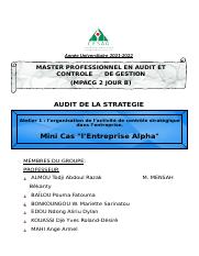 CAS ALPHA audit de la stratégie.docx