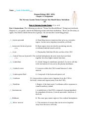 Cassie Ochsenfeld Chapter 11 The Nervous System Terms Assignment Worksheet (1).docx