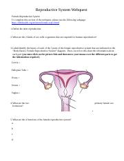 Reproductive System Webquest.docx