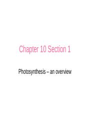 Chapter 10 Sections 1 and 2.ppt