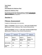 06.06 Module Six Wellness Plan.docx