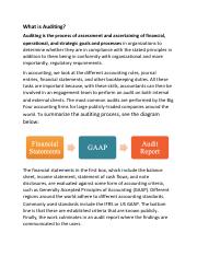 auditing assignment pdf