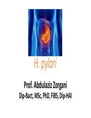H. pylori 2022.pdf