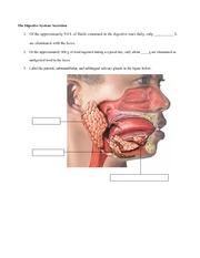 exercise_digestive_topic_5