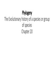 Biology Chapter 20 Campbell (1).pdf