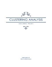 CLUSTERING+ANALYSIS.pdf