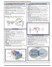 Molecular-Cell-Biology-Master.pdf