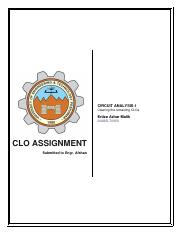 Ertiza CLO Assignment.pdf