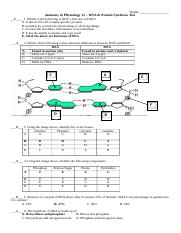 DNA & Protein Synthesis Practice Test Key.docx