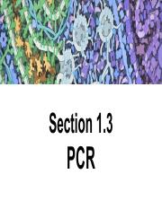 1.3 - PCR.pdf