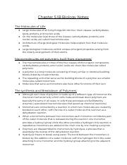 Chapter 5 IB Biology Notes_.pdf