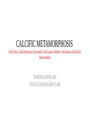 CALCIFIC-METAMORPHOSIS-students-1.pptx