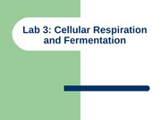 Lab_3_Respiration+2013 (1)
