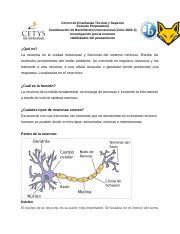 1.4 Neurona.docx