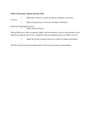 Sickle Cell Anemia Worksheet.docx