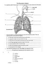 PetkovaJ 9-3 Respiratory System Worksheets.pdf
