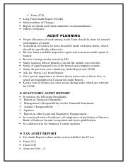 auditing-project-sem-3-9.pdf