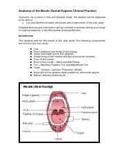 DHCP Anatomy of the Mouth SDL.pdf