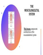 Intro to Muscular System.pdf