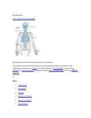 Esqueleto axial.pdf