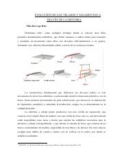 Evolucion_de_telares_y_ligamentos.pdf