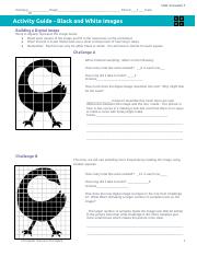 Copy of Activity Guide - Black and White Images - Unit 1 Lesson 7.docx