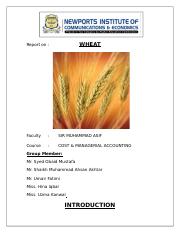 Report on Wheat.doc