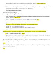 Study Guide for Test on DNA and Genetics.docx