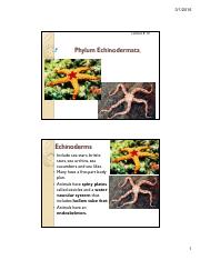 Lect_11_Phylum Echinodermata.pdf