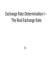 Exchange Rate Determination I –.pptx