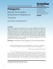 patagonia case study pdf