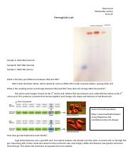 Genetics Hemoglobin.docx