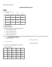Analyzing_Dihybrid_Crosses.pdf
