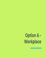 The Nature of Workplace Law.pptx.pdf