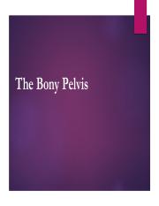 1. The Bony Pelvis - Copy.pdf