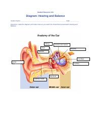 Lesson 10.6 Diagram  Hearing and Balance Completed.docx