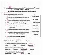 cell transport  review answer key2.pdf