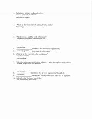 Cy Hinson - plant initials quiz.pdf