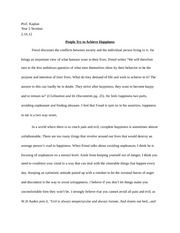 People Try to Achieve Happiness Essay