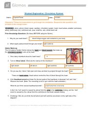 CirculatorySystem-Lilyana Flores 11-1.pdf