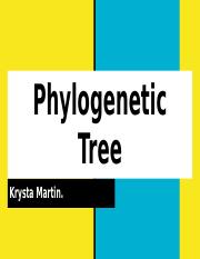 Phylogenetic Tree.pptx