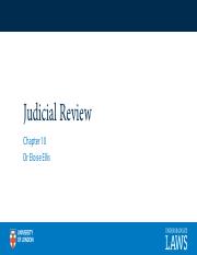 Chapter 10 - Judicial review - slides.pdf
