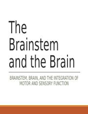Brainstem and Brain - 2021.ppt