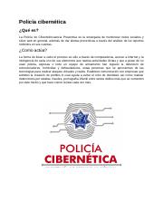 Policía cibernética.docx