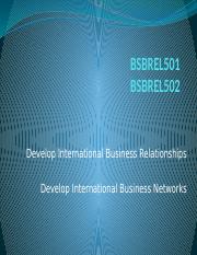 BSBREL501A What is International Business PP