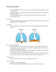 Respiratory Dynamics.docx