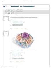 Structure and Function of Cells Quiz.pdf