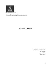 21302- Informe empresa - GANGTINT.docx