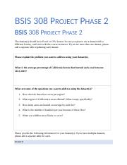 Phase 2 BSIS 308 - Group Project.docx