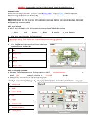 Answers - Photosynthesis Biointeractive Part 1 (2).pdf